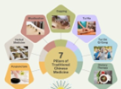 Traditional Chinese Medicine Module 101 